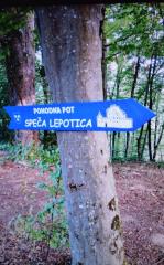 Urejanje poti Speca lepotica, foto I Zaplotnik in O Skarja (7)